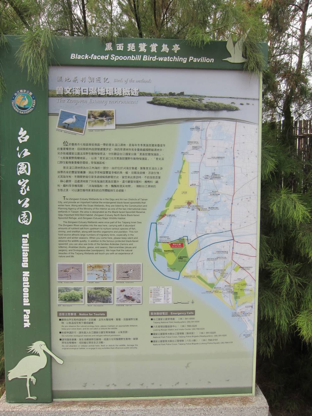 台江國家公園（台南）415 copy.jpg