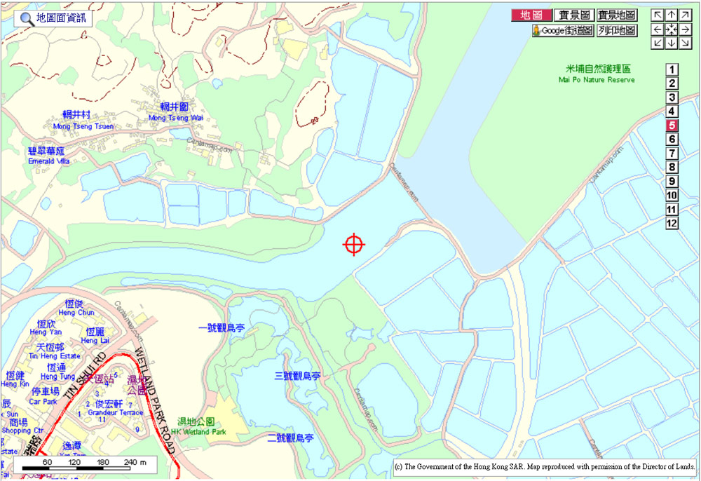 V0_紅腳鷸_20131221_10am.jpg