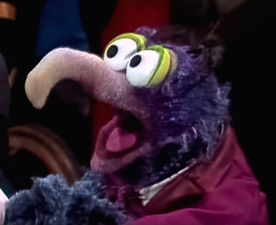 Gonzo.jpg