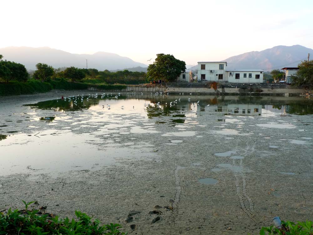 P1000885.JPG