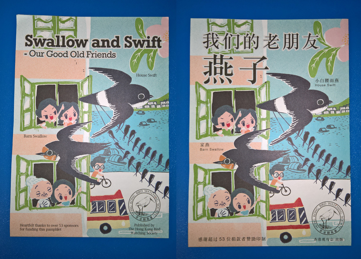 Swallow&Swift_GB.jpg