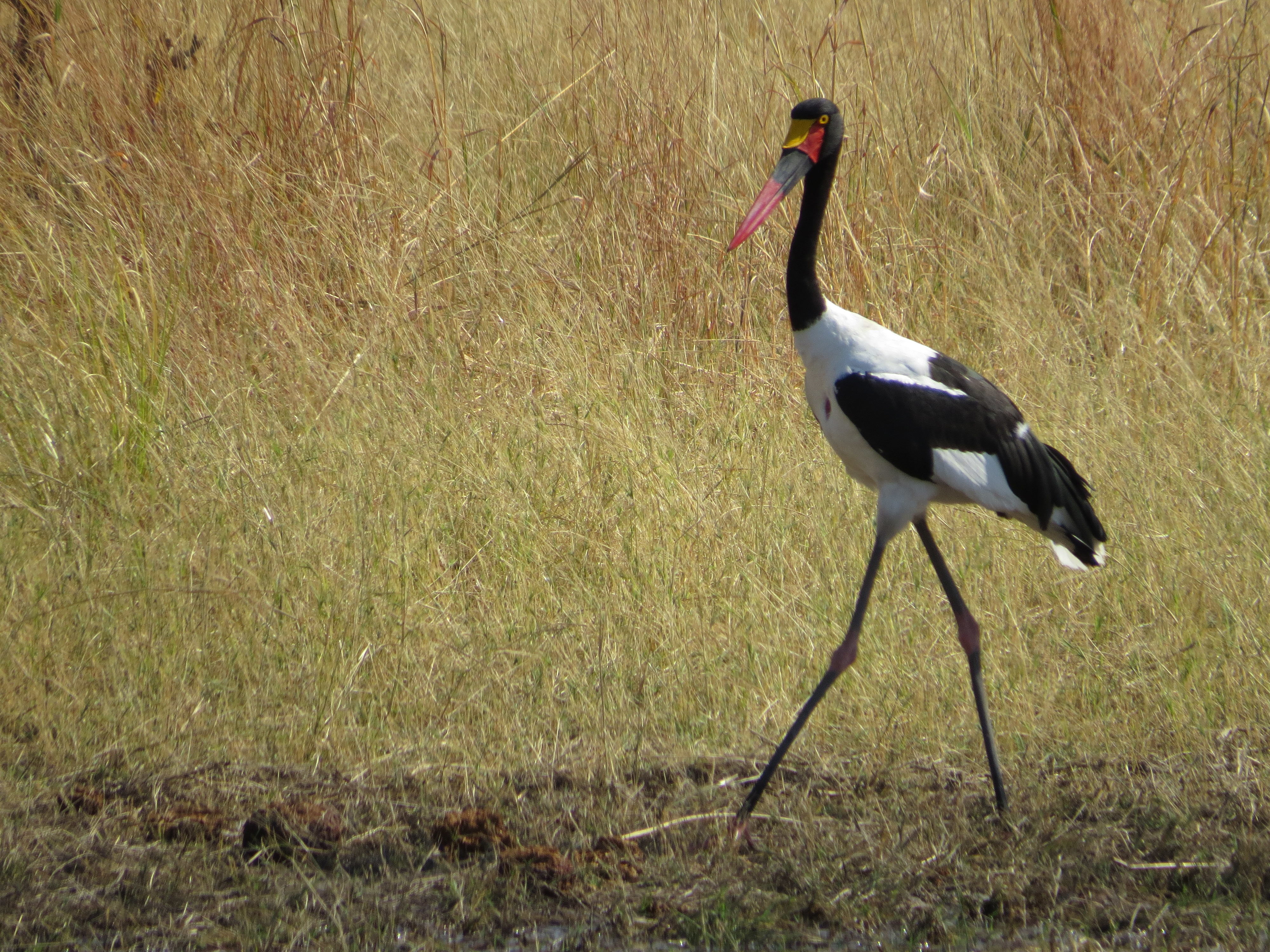 13Aug_BWA SelindaM_136.jpg