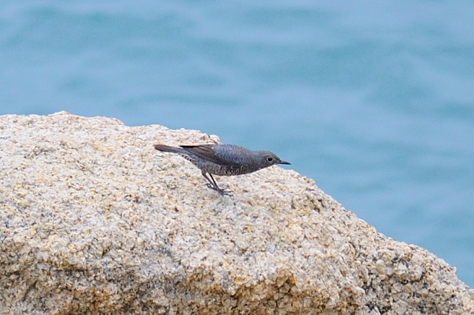 DSC_7168_01.JPG