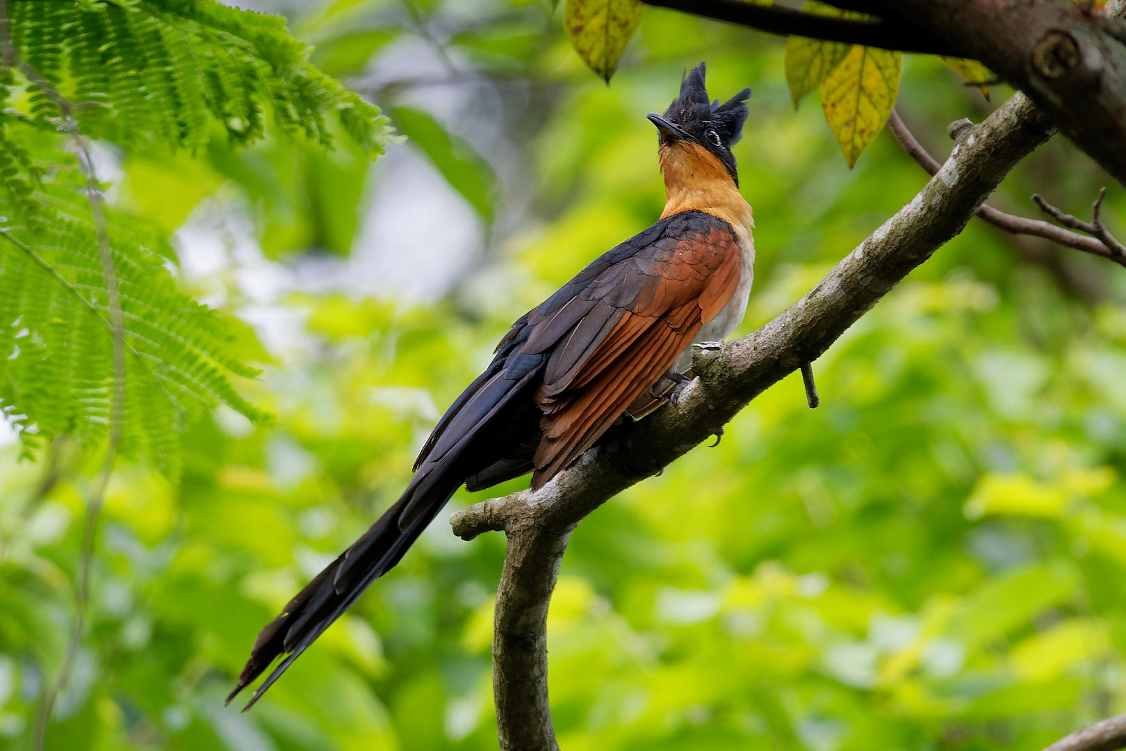 DSC_2138_w1620.jpg