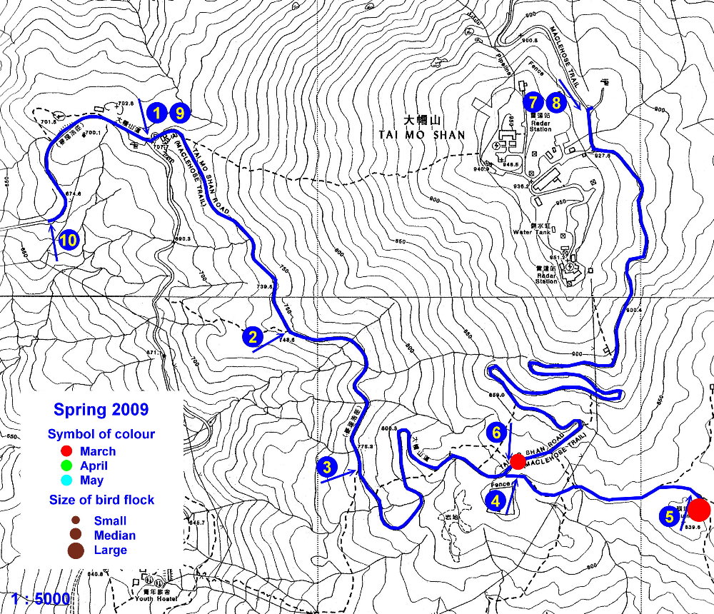 03_200903-05_taimoshan.jpg