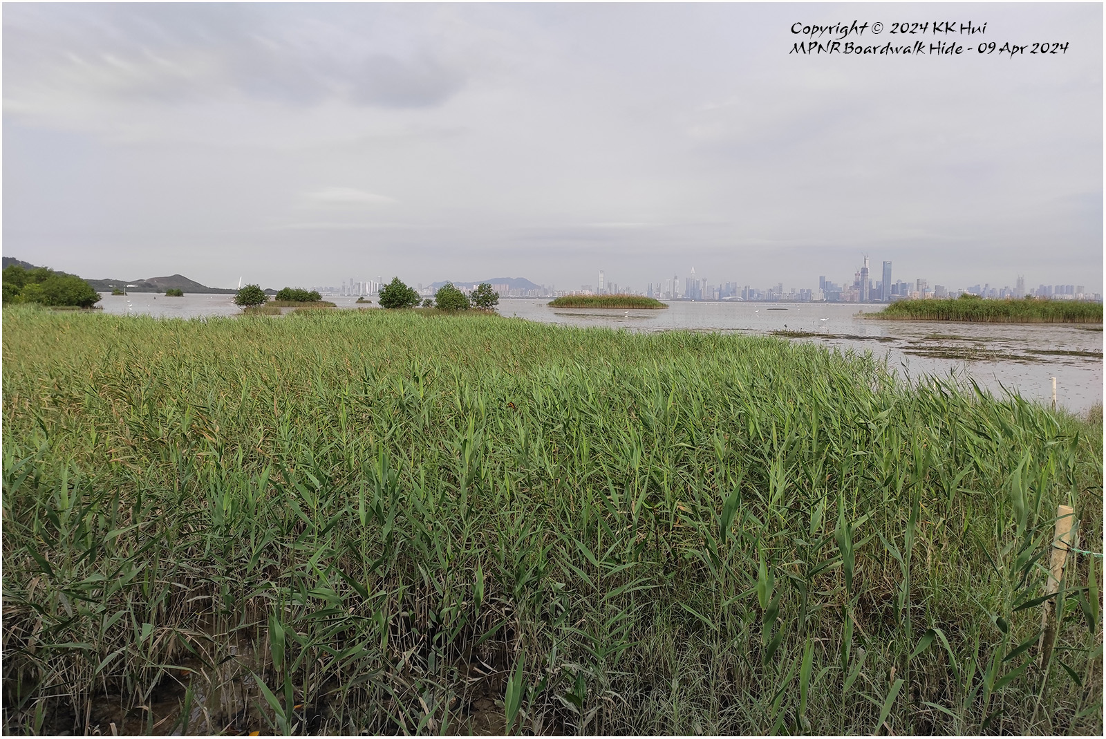 MPNR Boardwalk Hide.jpg