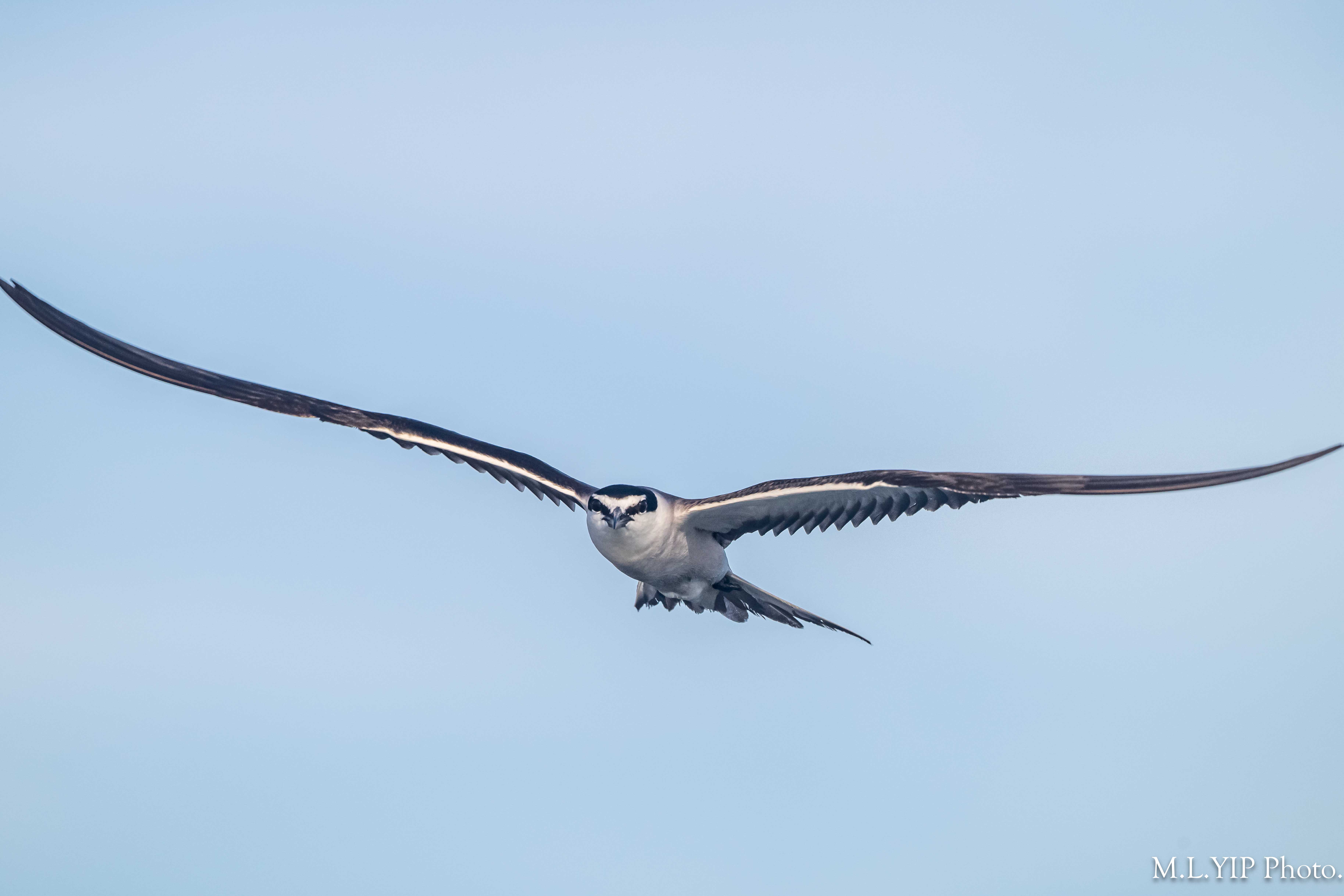Z8F_7314.jpg