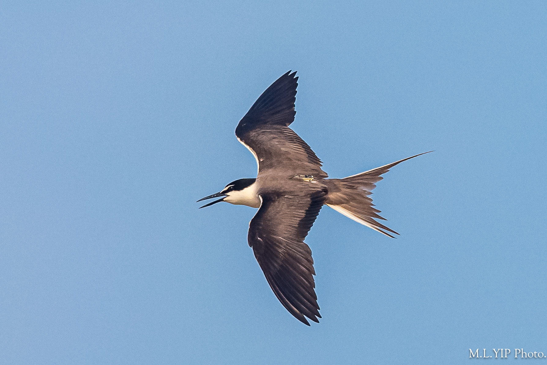 Z8F_0192.jpg