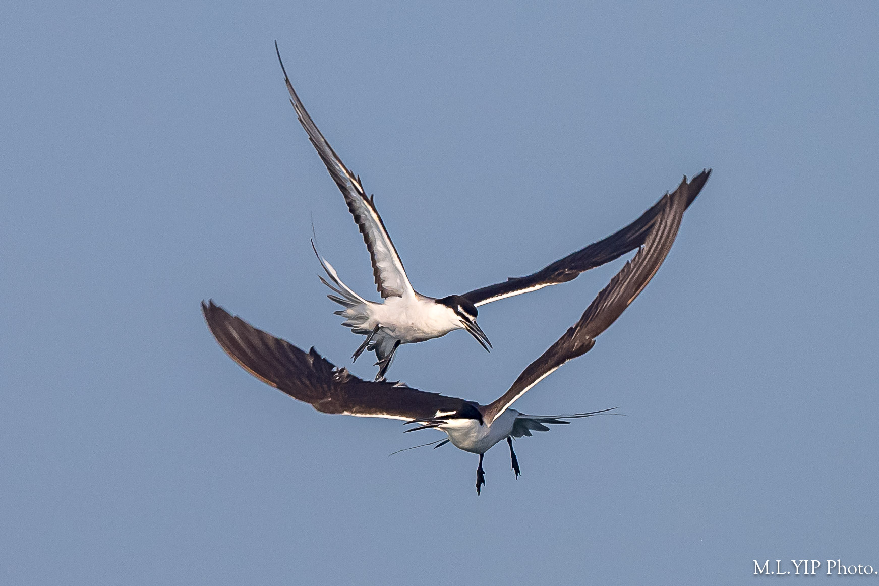 Z8F_1058.jpg
