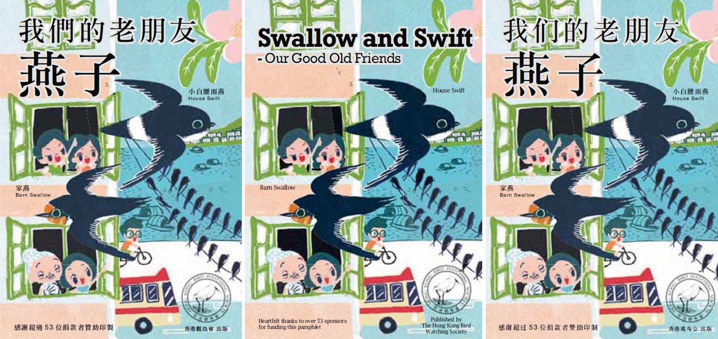 Swallow&Swift.jpg