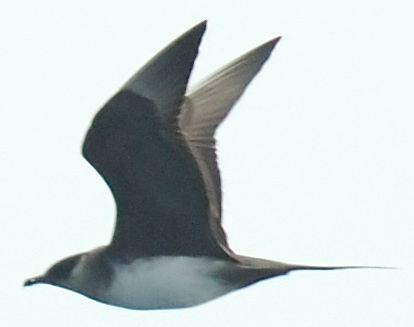DSC_0121.jpg
