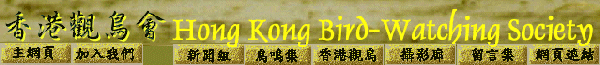 HKBWS�����[���| logo