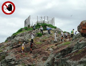 燕鷗繁殖期間,請勿登上其島嶼。