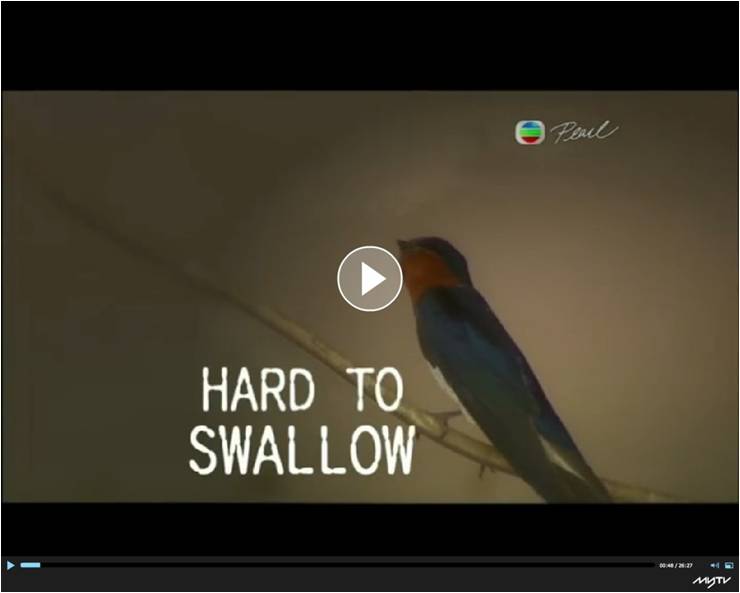 Hard_to_Swallow_TVB.jpg