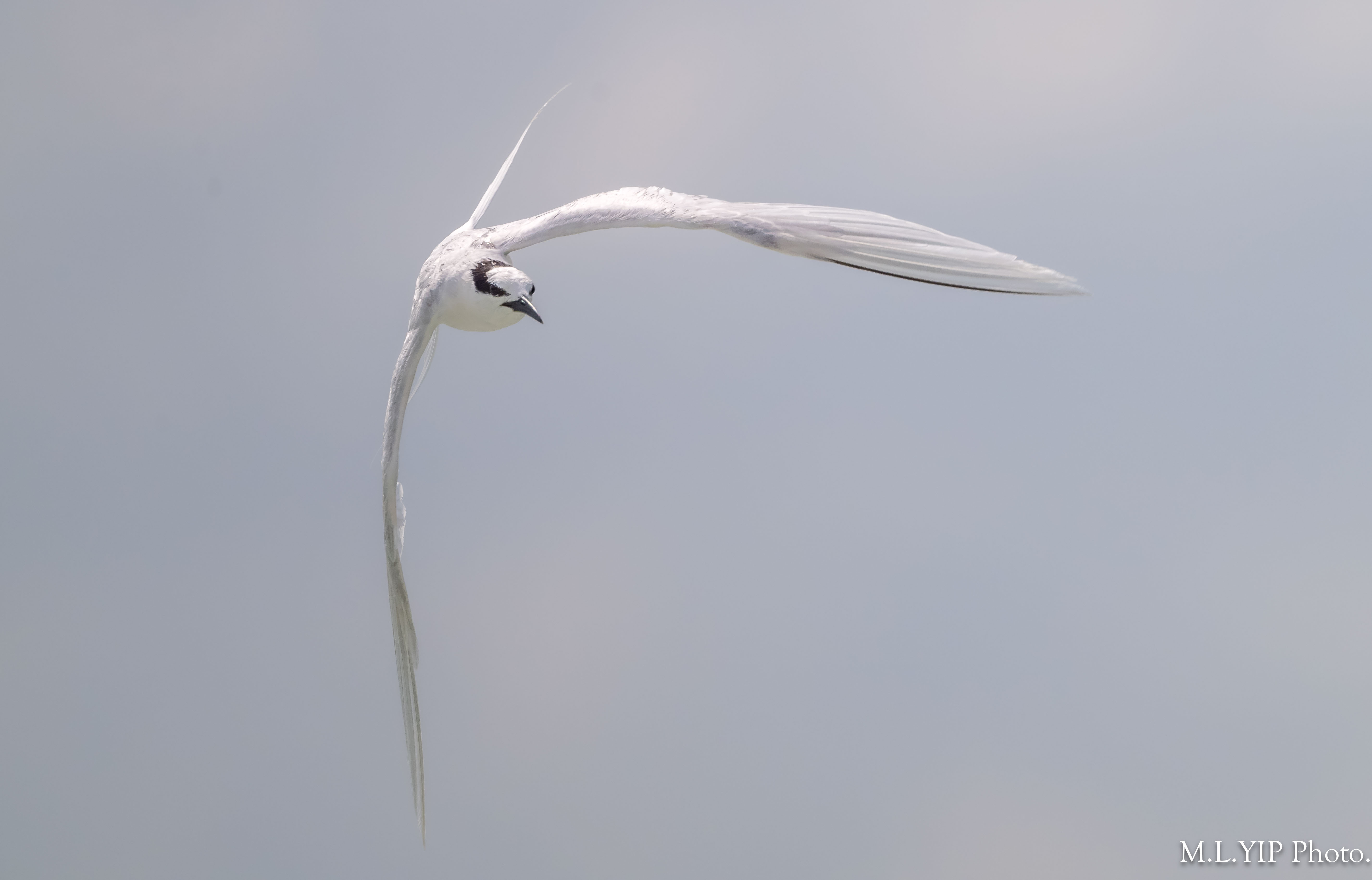 Z8Z_9668.jpg