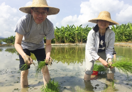 「香港觀鳥會禾花雀保育大使」高永文醫生到塱原插秧 呼籲保育禾花雀及本地農業   支持國際禾花雀關注年