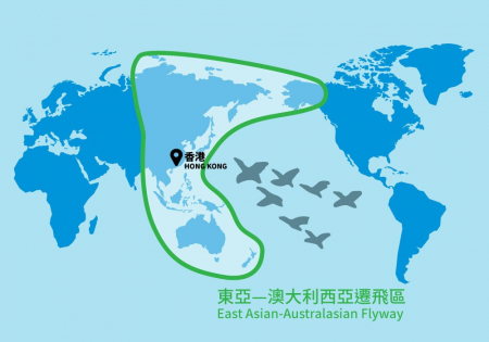 HKBWS is now officially the 38th member of the East Asian-Australasian Flyway Partnership (EAAFP)