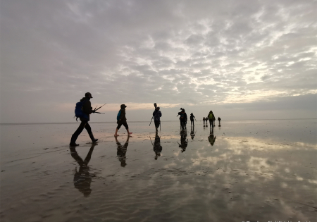 China Coastal Waterbird Census Report 2012-2019 has been published!