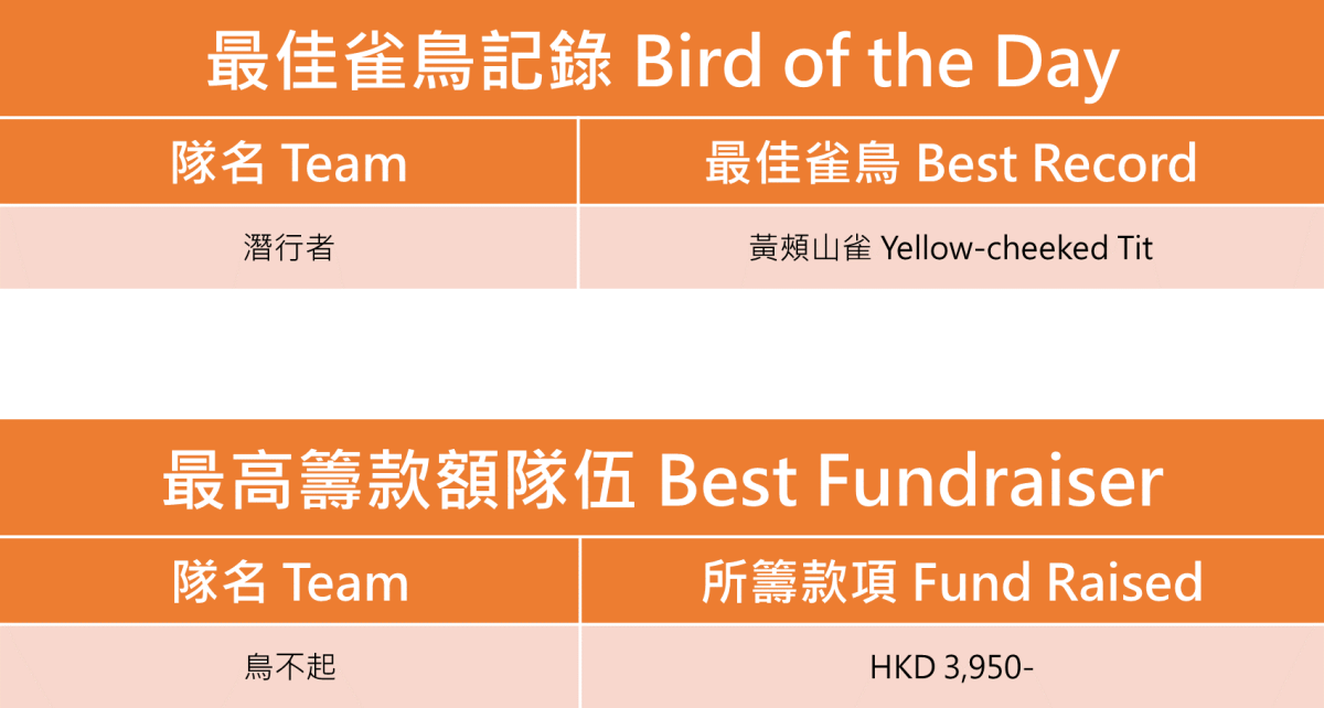 bird race 2023 result student 2