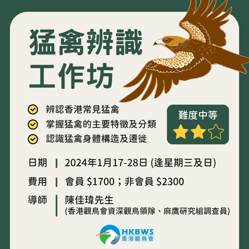 Raptor identification workshop