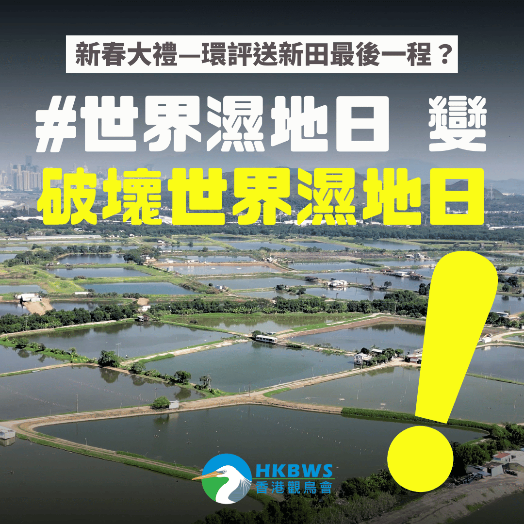 世界濕地日變「破壞世界濕地日」