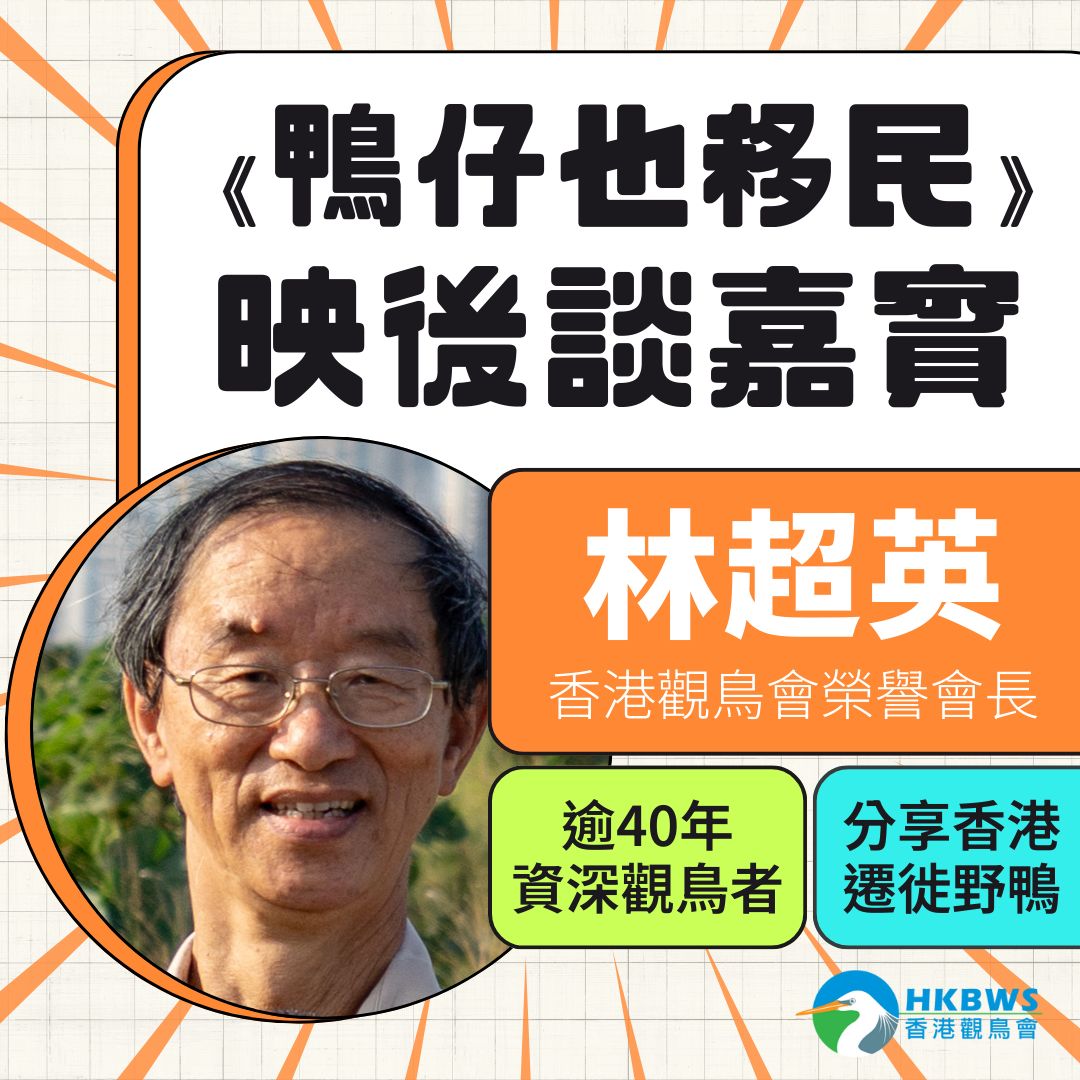 20240215 MIGRATION Screening CY