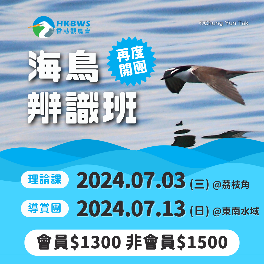 海鳥辨識班