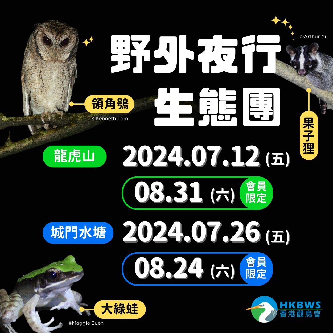 全方位野外夜行生態團
