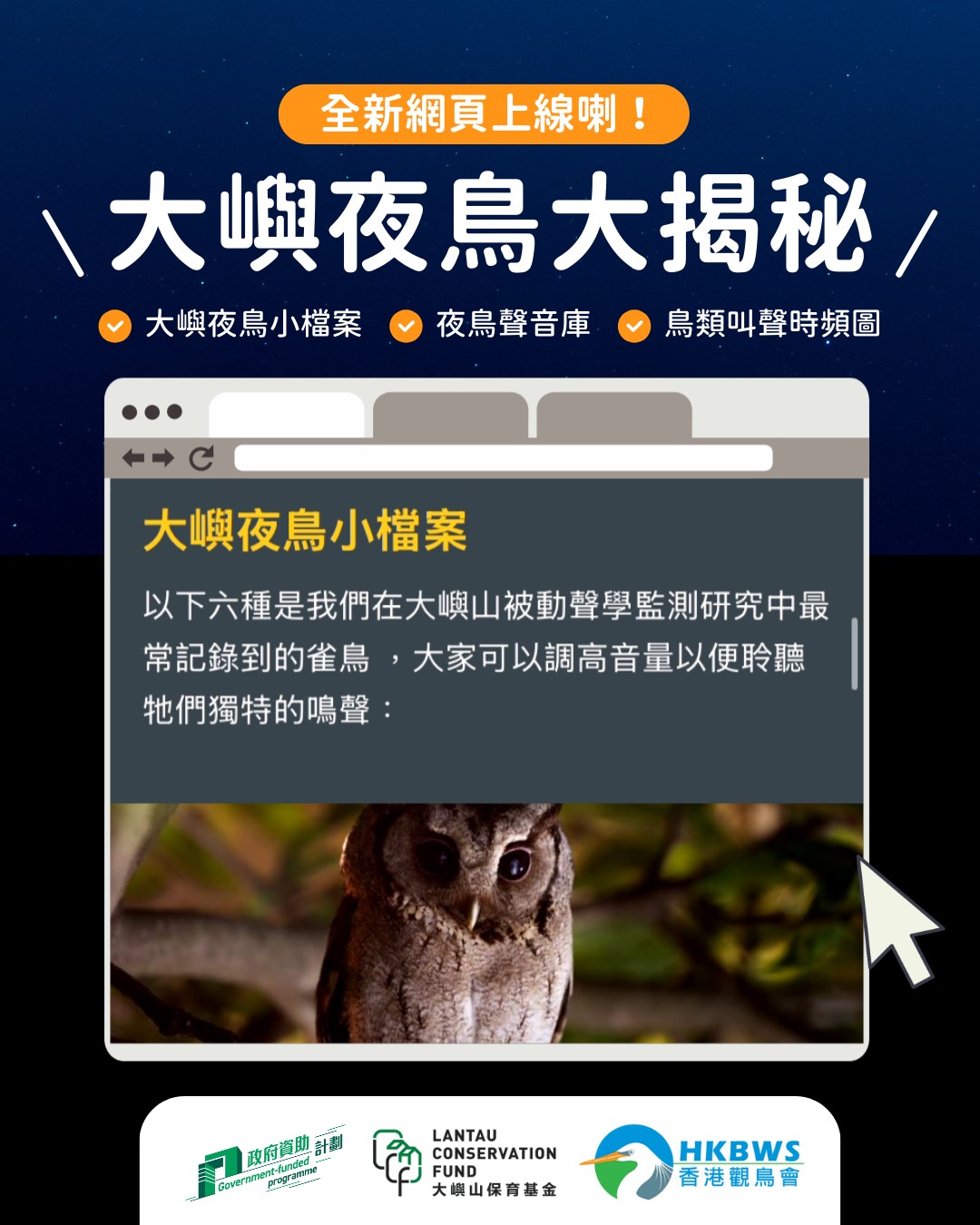 大嶼山夜鳥網頁上線喇！
