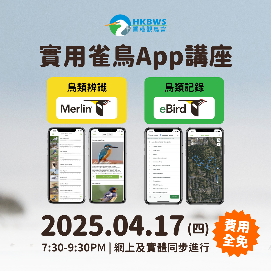 實用雀鳥 App 免費講座