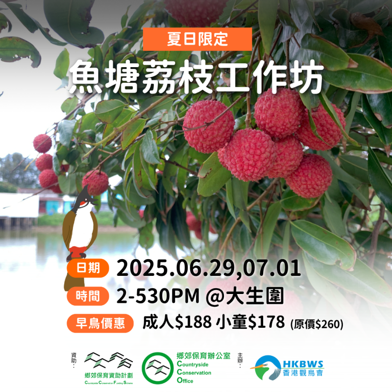 夏日限定 - 魚塘荔枝工作坊 2025