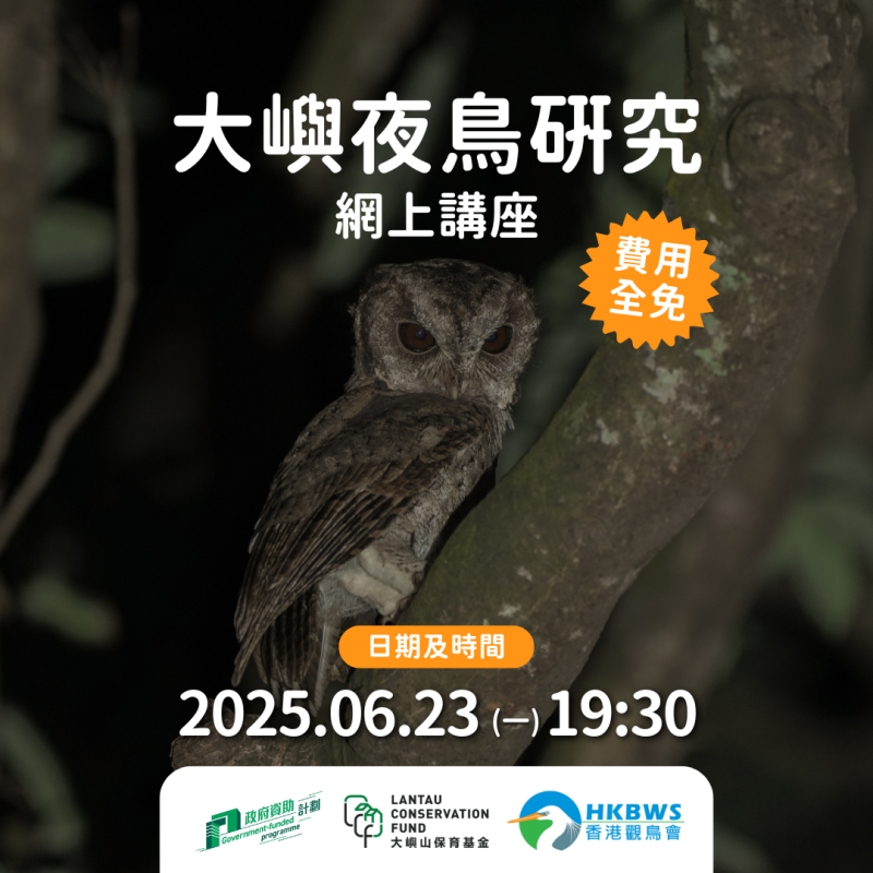 大嶼山夜鳥研究網上講座