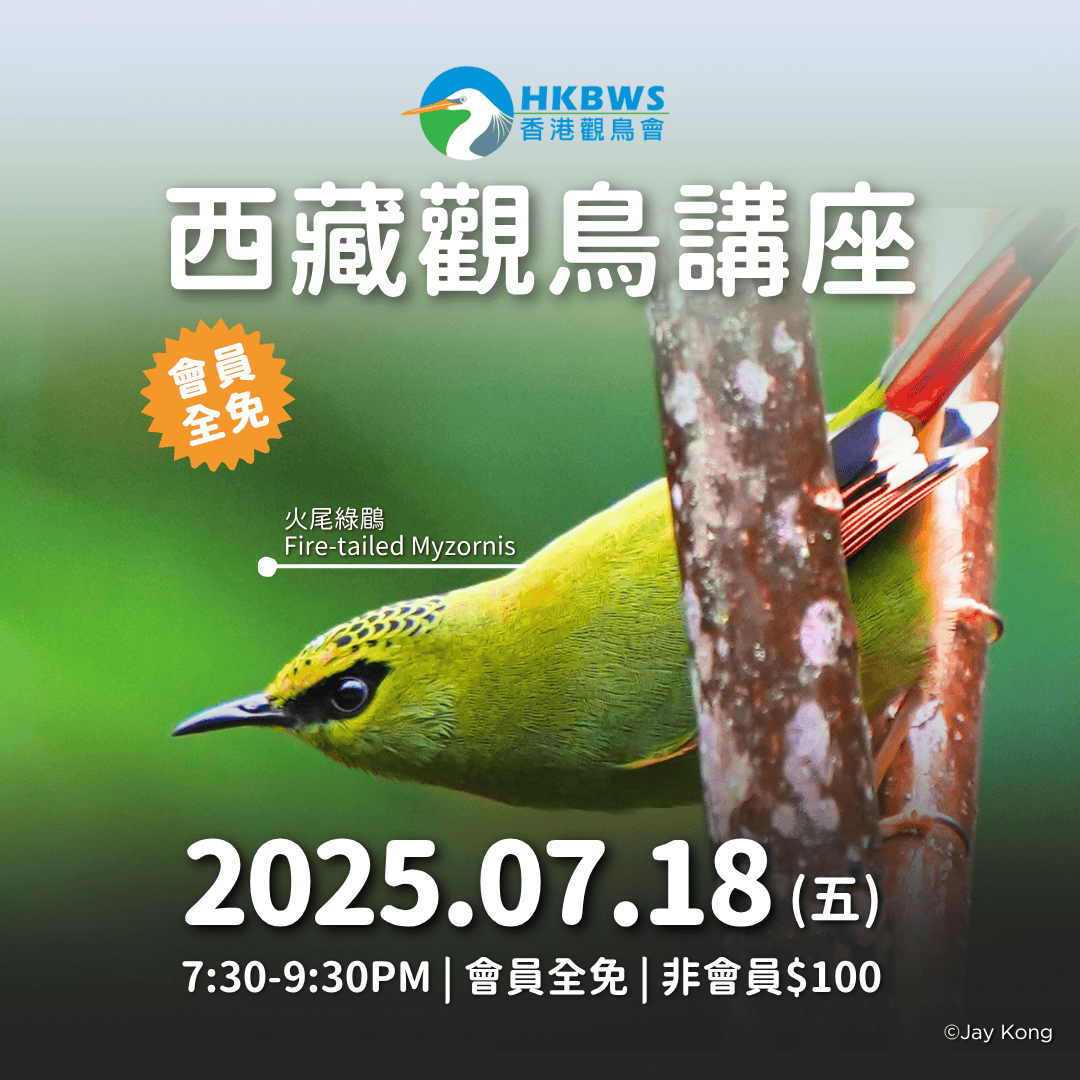 西藏觀鳥講座