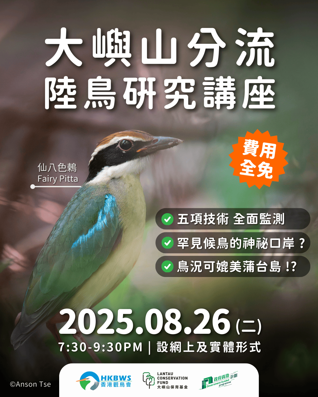 【大嶼山分流陸鳥研究講座】