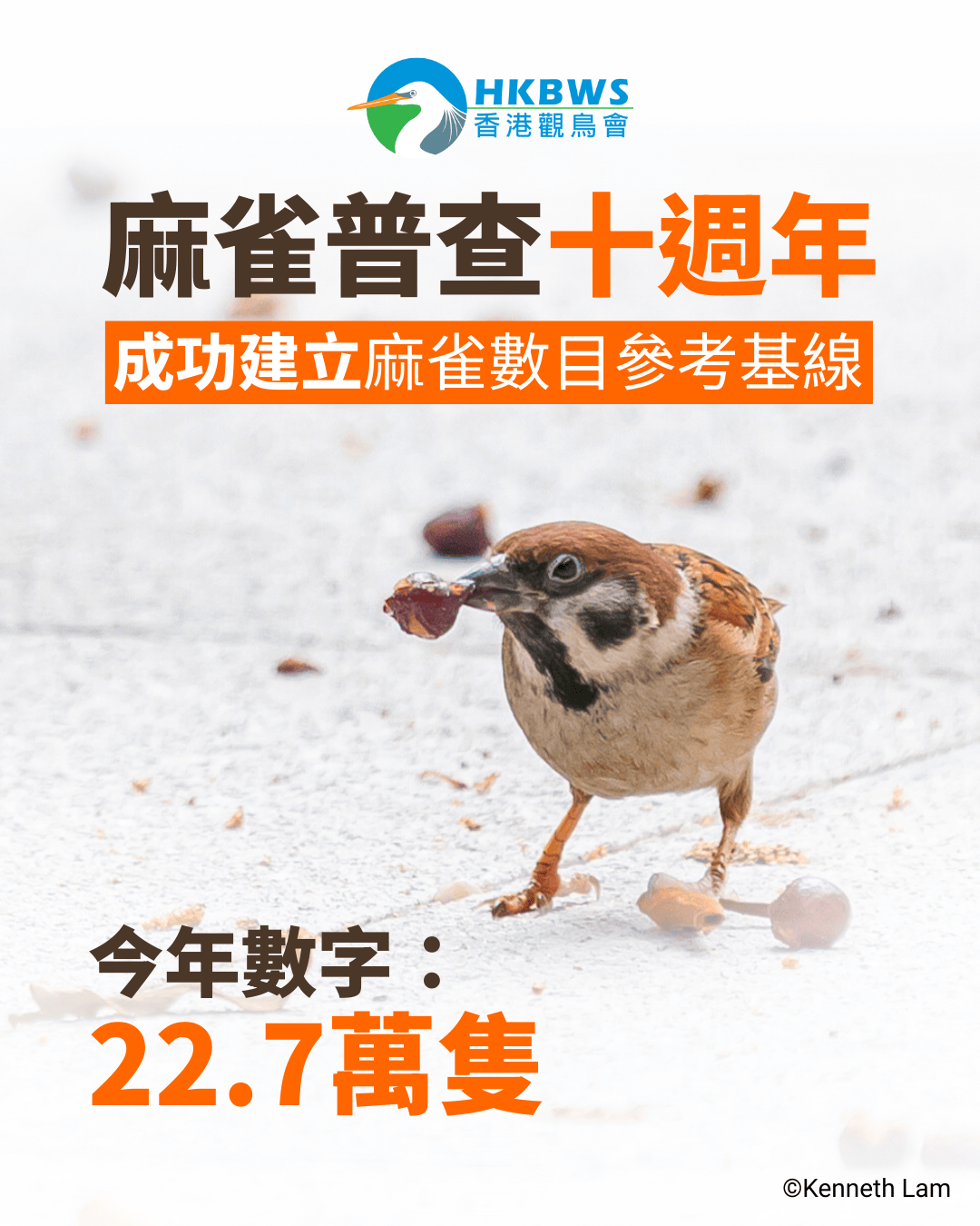 【全港麻雀普查2025】十年逾2,600參與人次 成功建立麻雀數目基線