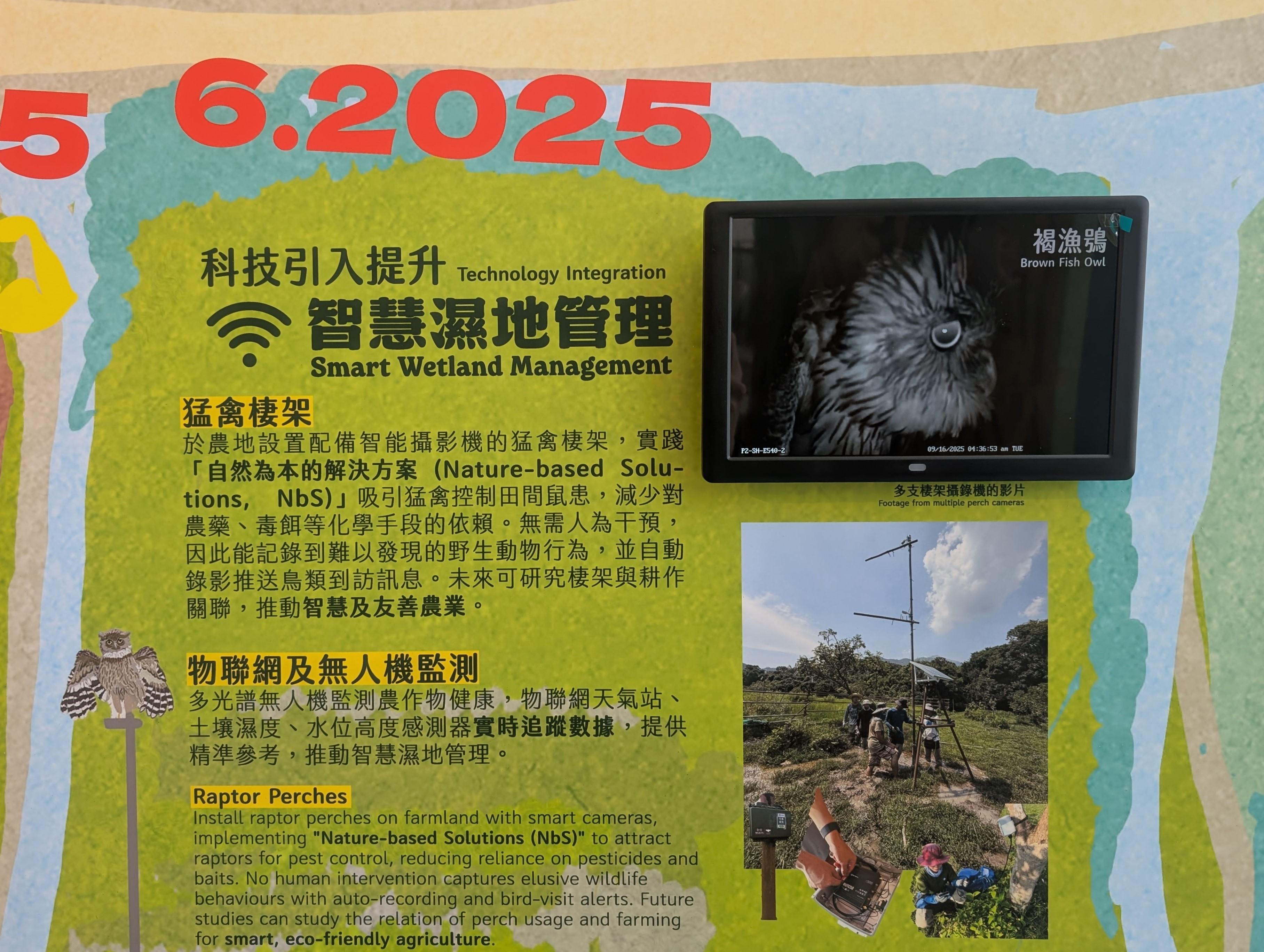 02 Raptor perch footage