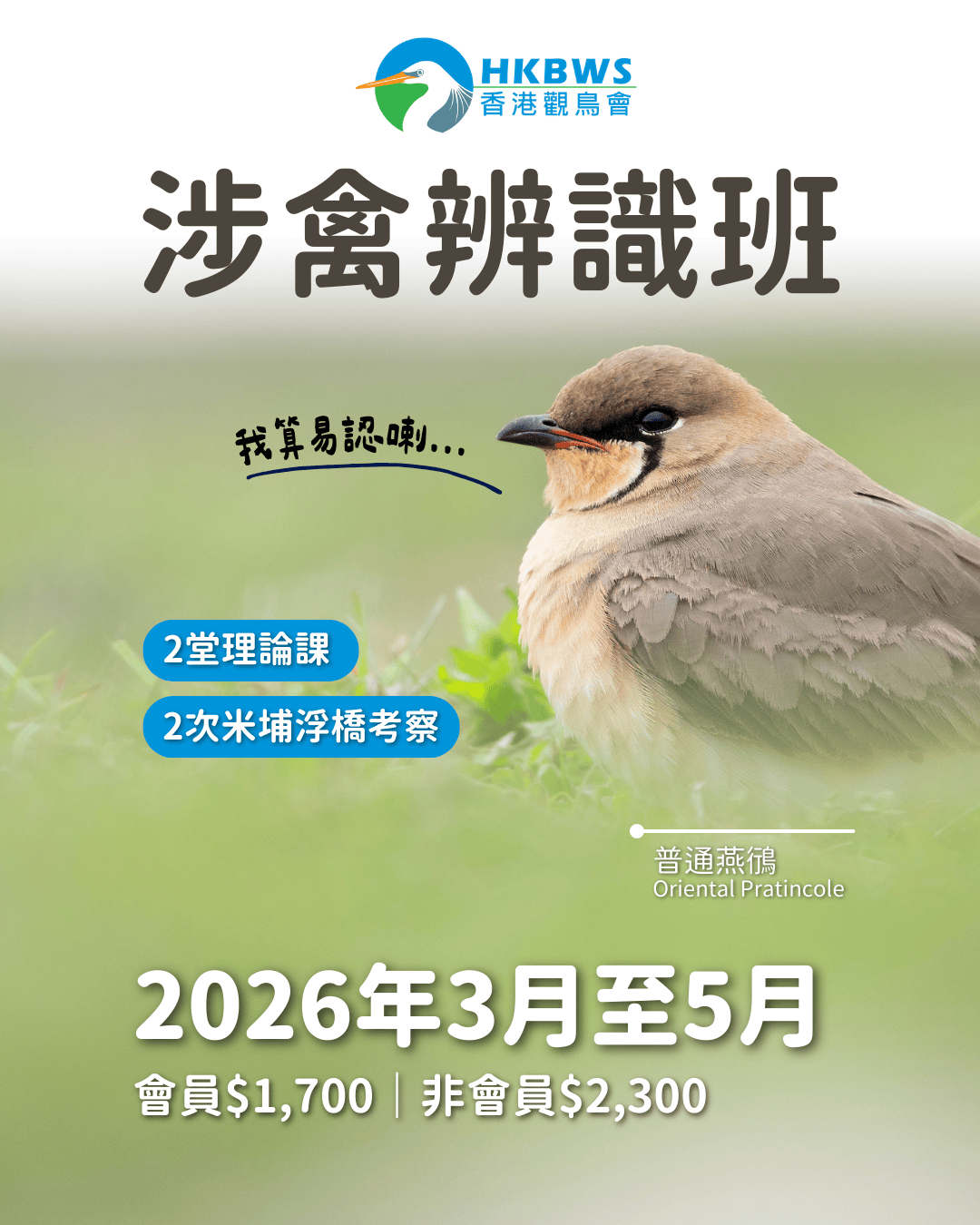 涉禽辨識工作坊 2026