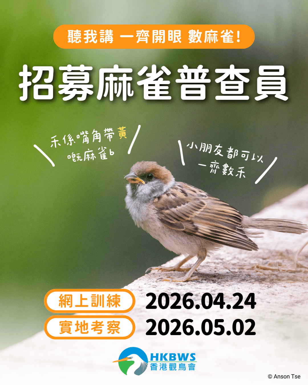 【全港麻雀普查2026】招募普查員