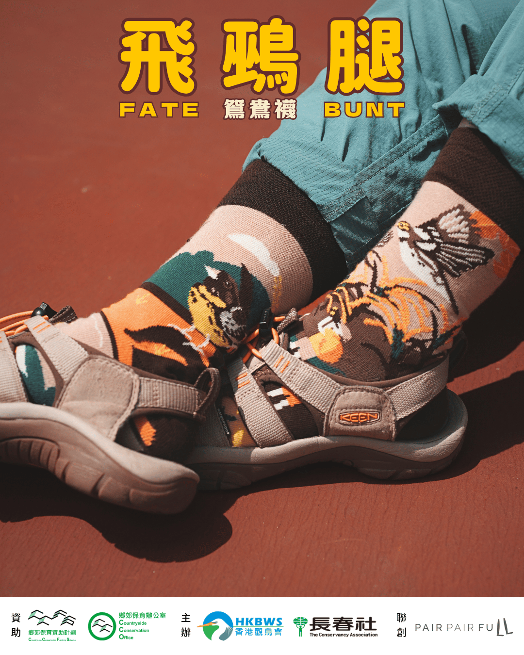 202605 YBB sock