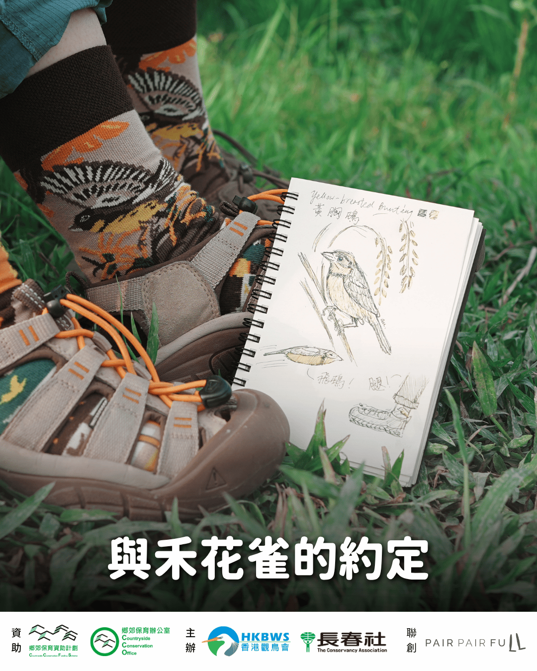 202605 YBB sock 2