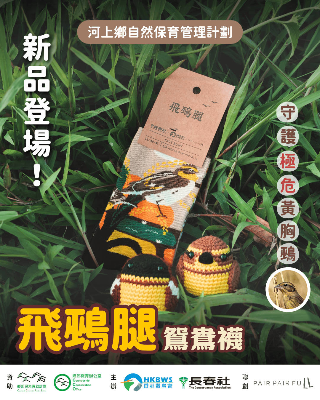 【限量推出】黃胸鵐主題《飛鵐腿》鴛鴦襪