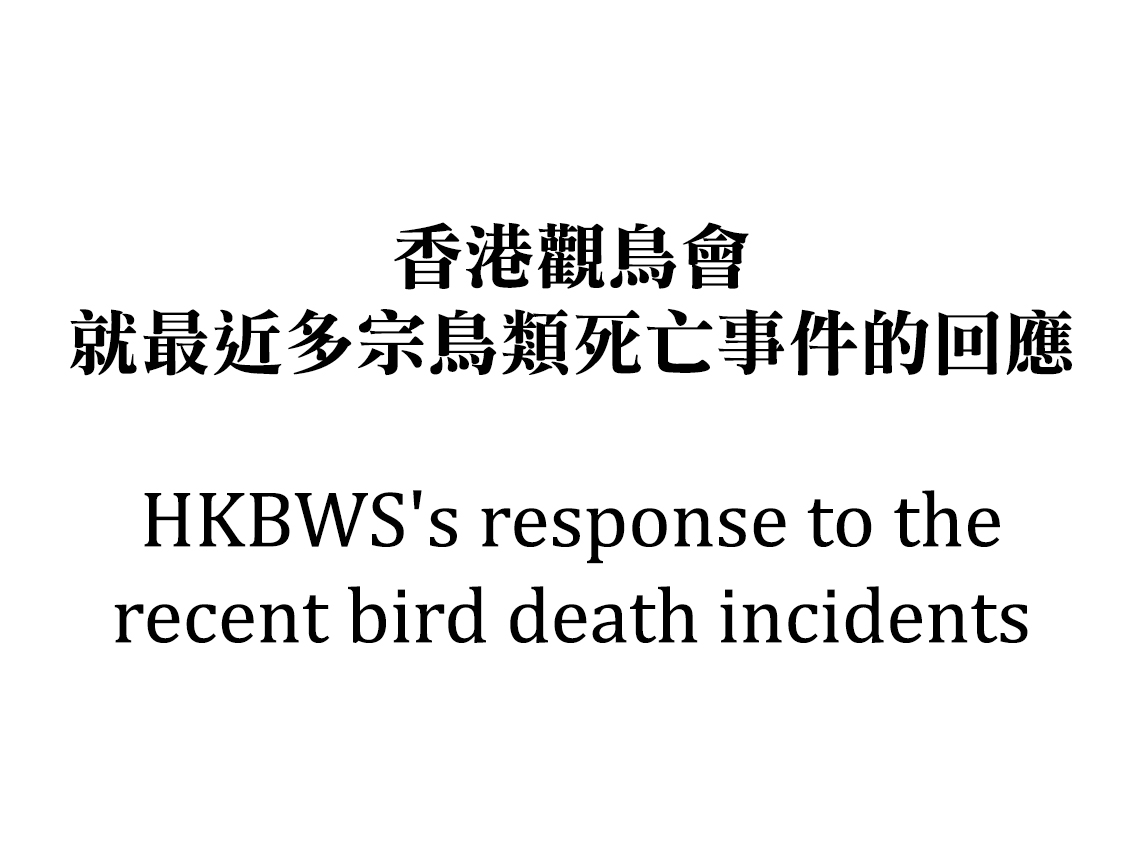 HKBWS's response to the recent bird death incidents