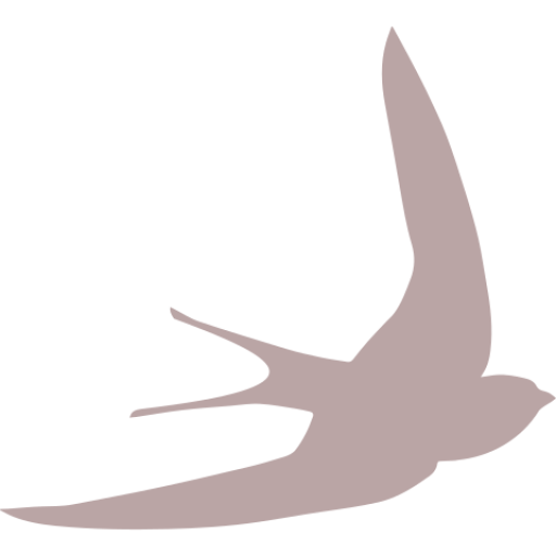 swift bird shape