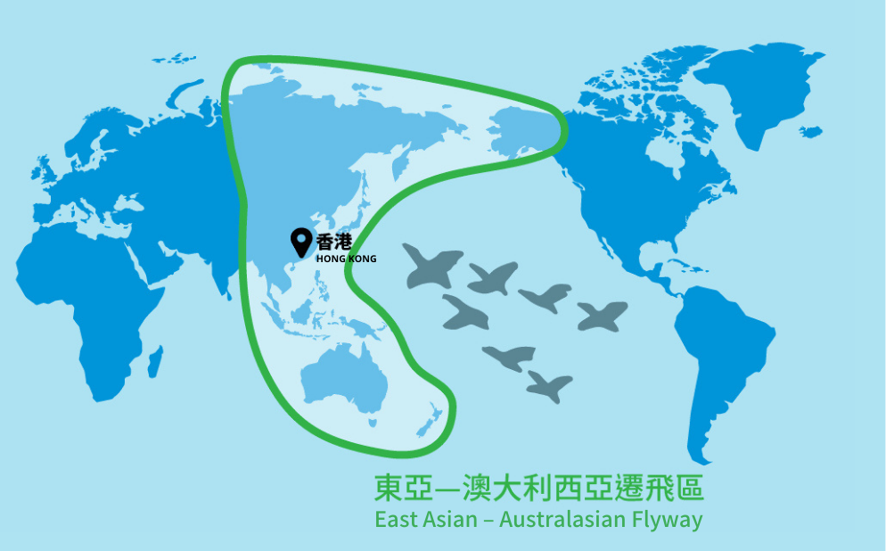 East Asian Australasian Flyway Partnership