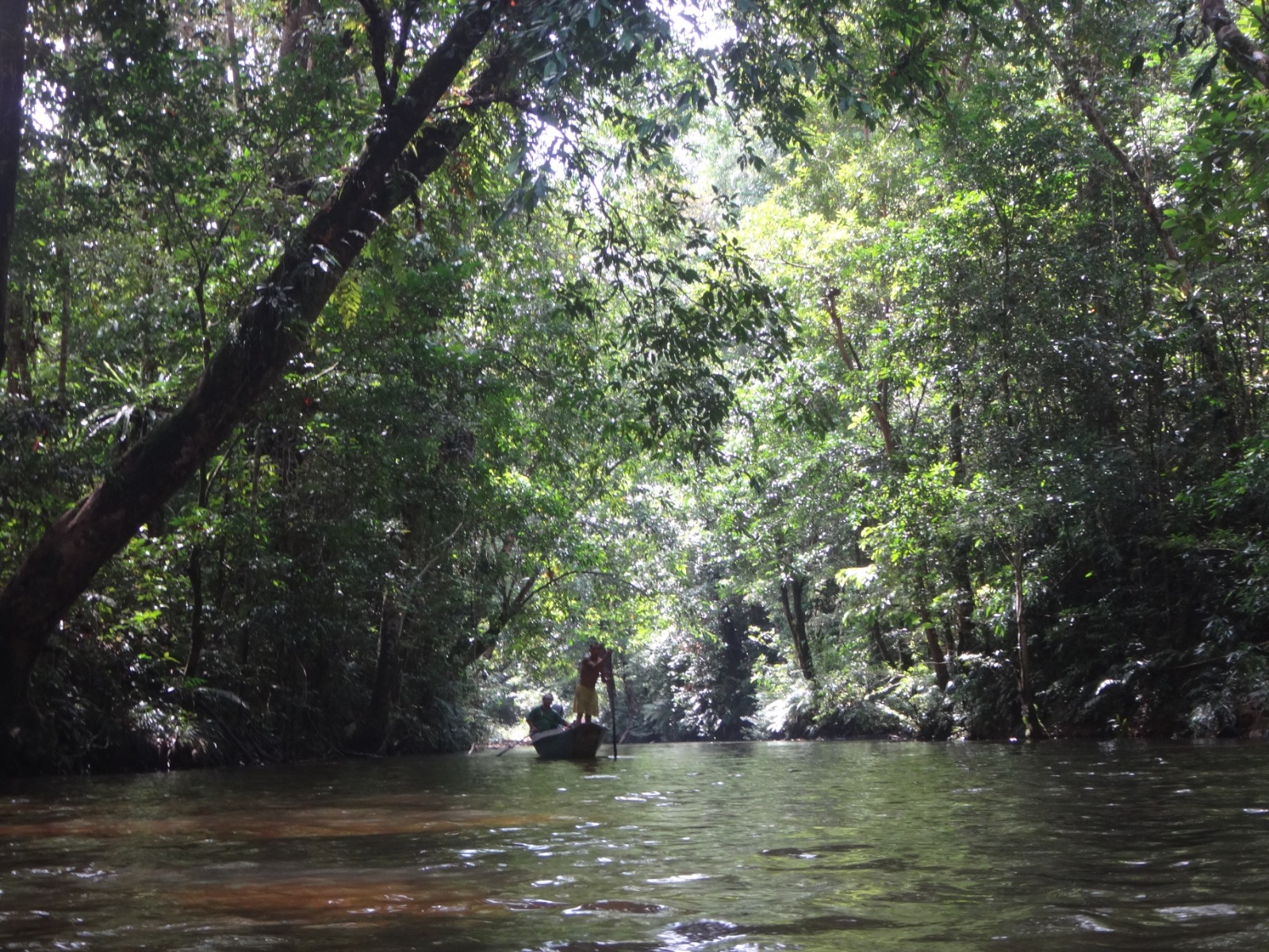 Exploring Borneo