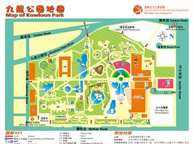 九龍公園清晨觀鳥匯聚