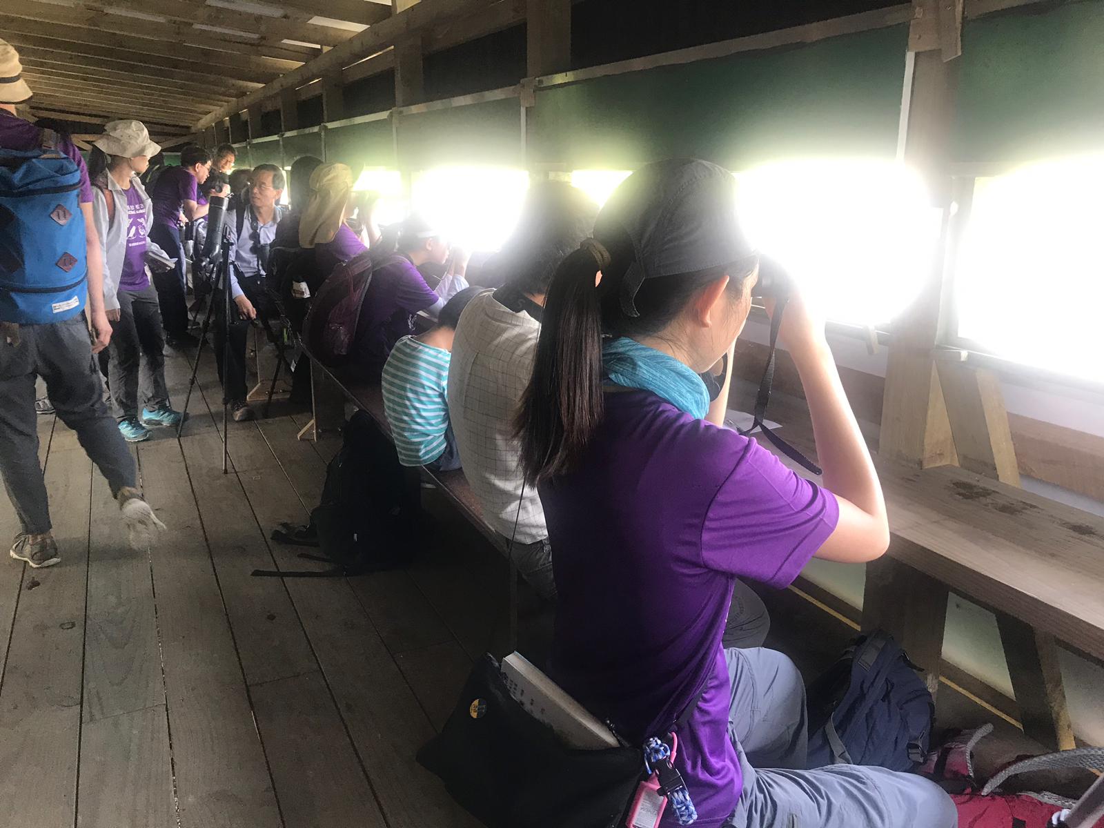 觀鳥馬拉松2019「體驗賽」與「親子賽」賽果 Bird Watching Marathon 2019- Newbie Delight and Family Tournament result