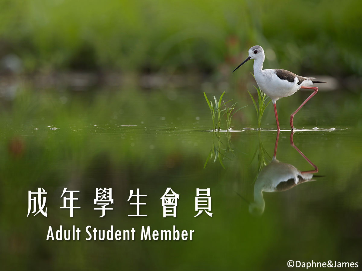 成年學生會員 Adult Student Member