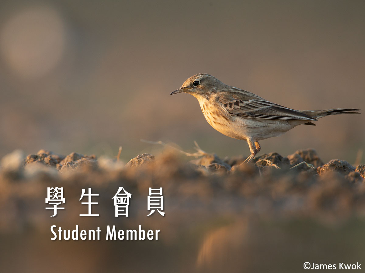 學生會員 Student Member