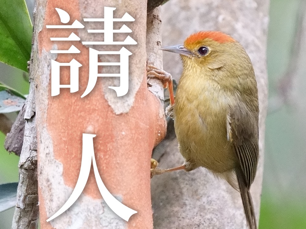 工作機會